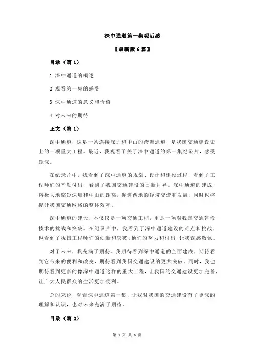深中通道第一集观后感