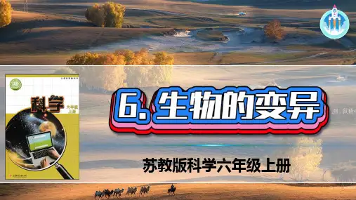 苏教版科学六年级上册6生物的变异PPT课件