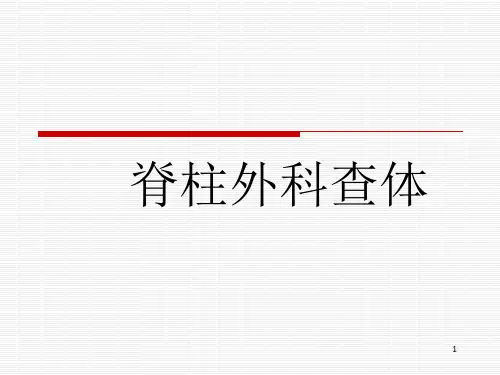脊柱外科查体医学PPT课件