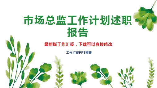 市场总监工作计划工作总结述职报告PPT模板下载
