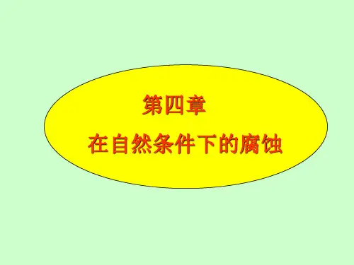 金属腐蚀与防护第四章