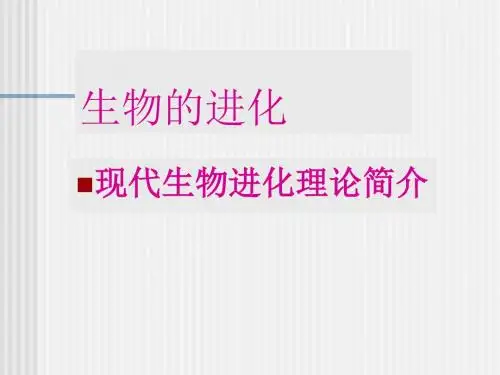 现代生物进化理论简介ppt2