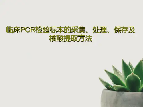 临床PCR检验标本的采集、处理、保存及核酸提取方法共66页