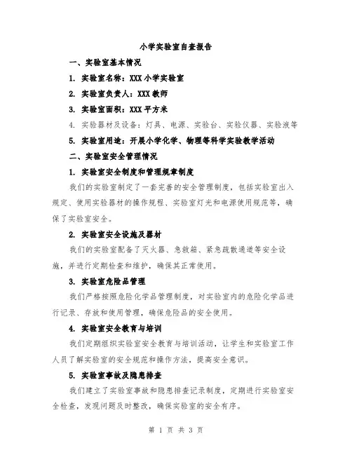 小学实验室自查报告