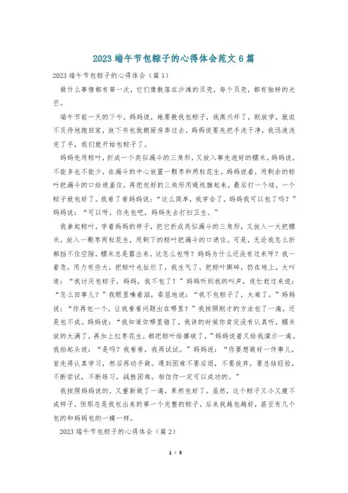 2023端午节包粽子的心得体会范文6篇