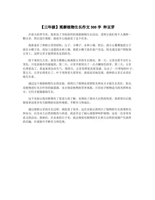 【三年级】观察植物生长作文300字 种豆芽