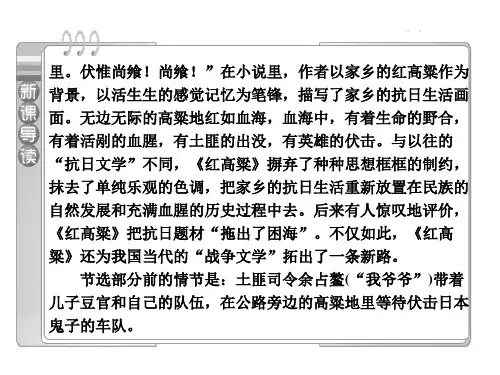 红高粱课件