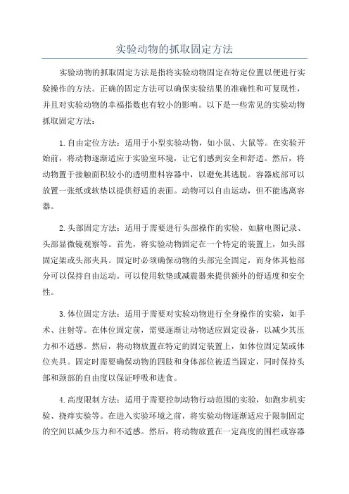 实验动物的抓取固定方法