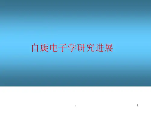 自旋电子学研究进展(磁学会议)
