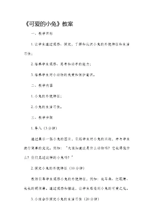《可爱的小兔》教案