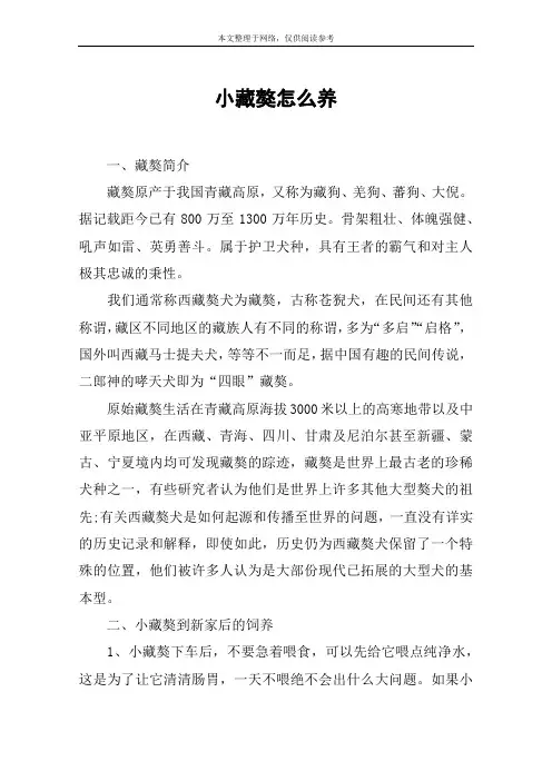 小藏獒怎么养