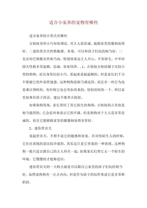 适合小家养的宠物有哪些