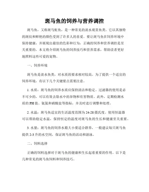 斑马鱼的饲养与营养调控