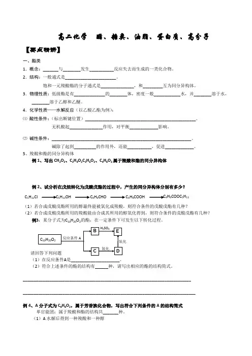 高二化学酯糖类油脂蛋白质高分子