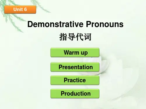 小升初小学语法指示代词训练课件(共22页,含课后练习)