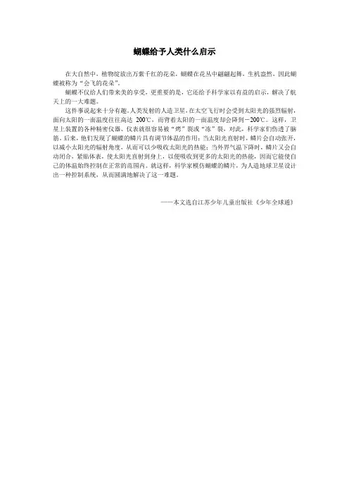 蝴蝶给予人类什么启示