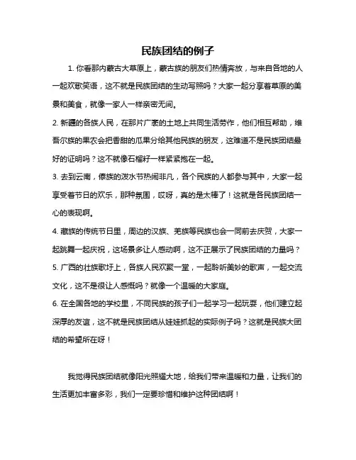 民族团结的例子