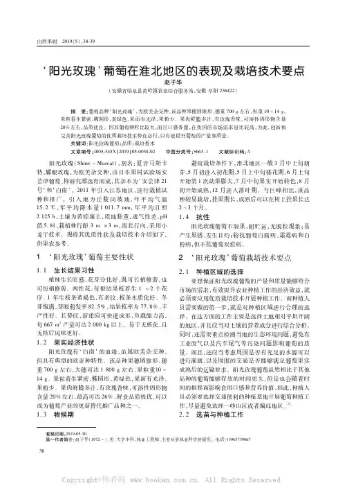 ‘阳光玫瑰’葡萄在淮北地区的表现及栽培技术要点