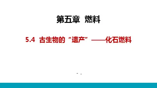 《古生物的“遗产”—化石燃料》燃料PPT课件