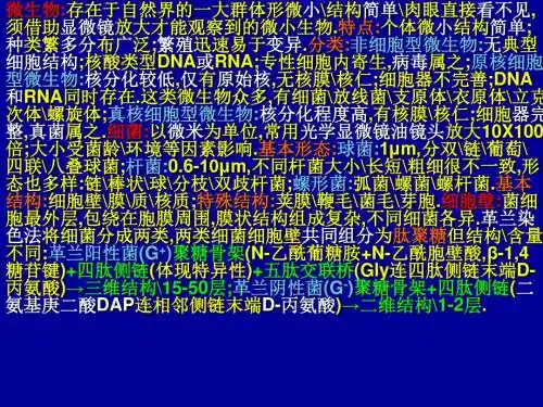 医学微生物学复习资料-文档资料