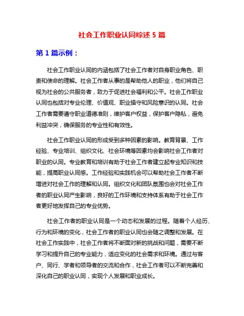 社会工作职业认同综述5篇