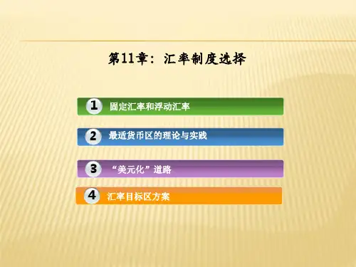 第11章：汇率制度选择