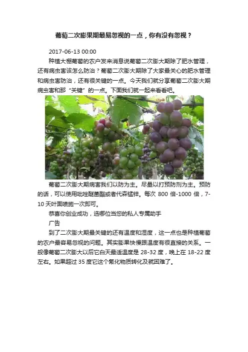 葡萄二次膨果期最易忽视的一点，你有没有忽视？