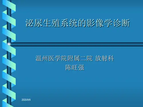 《医学影像学》课件：第七章：泌尿生殖系统