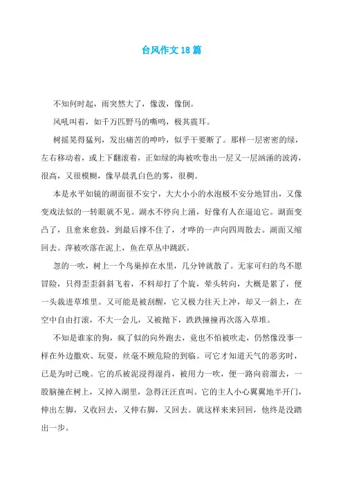 台风作文18篇