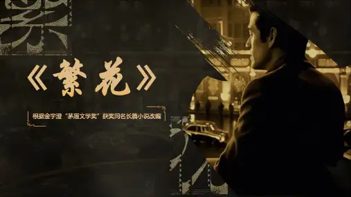 《繁花》主题汇报ppt模板