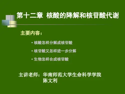 核酸怎样分解成核苷酸