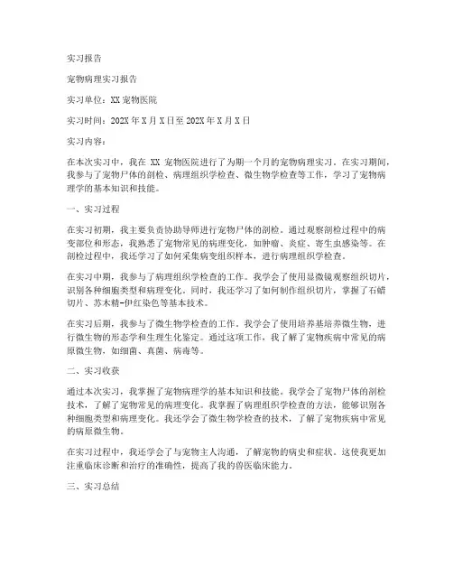 宠物病理实习报告