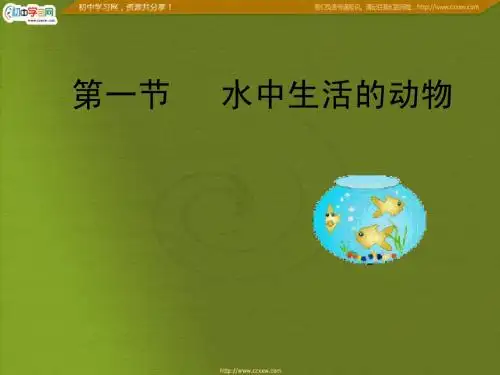 《水中生活的动物》课件(人教版)
