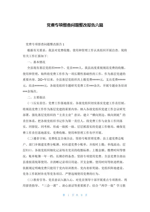 党费专项督查问题整改报告六篇