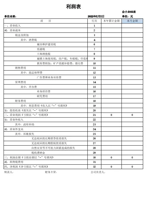 资产负债表 利润表模板