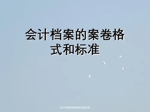 会计档案案卷格式与标准
