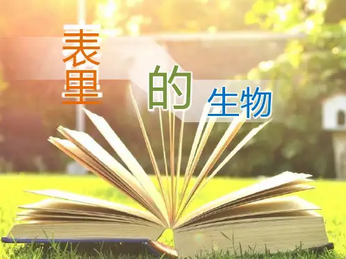 部编版六年级语文课件下册 - 16 表里的生物 (共21张PPT)