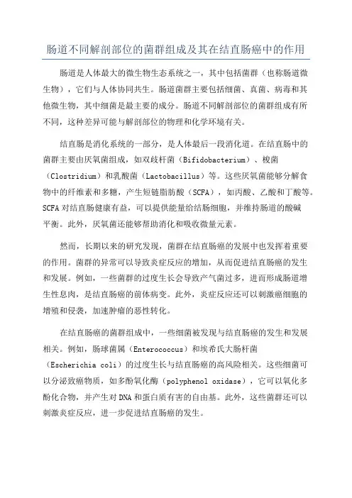 肠道不同解剖部位的菌群组成及其在结直肠癌中的作用