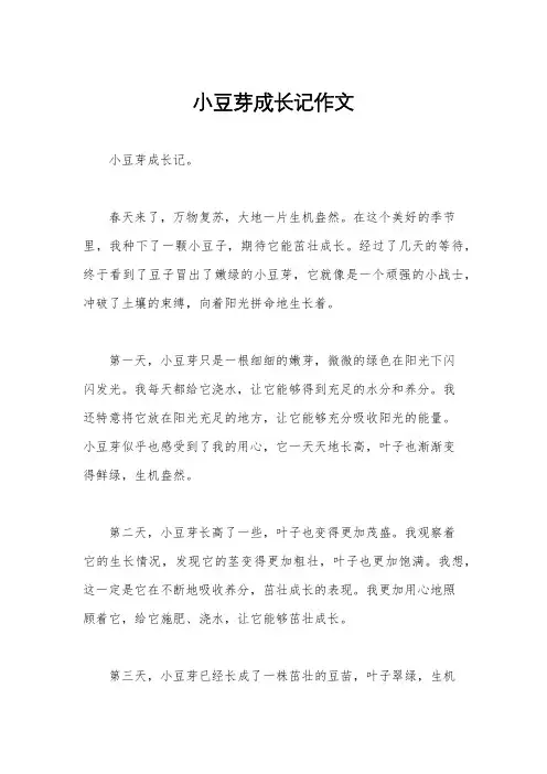 小豆芽成长记作文