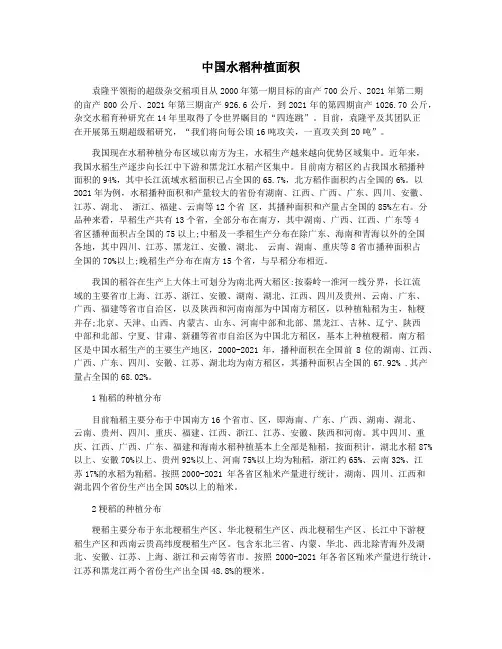 中国水稻种植面积