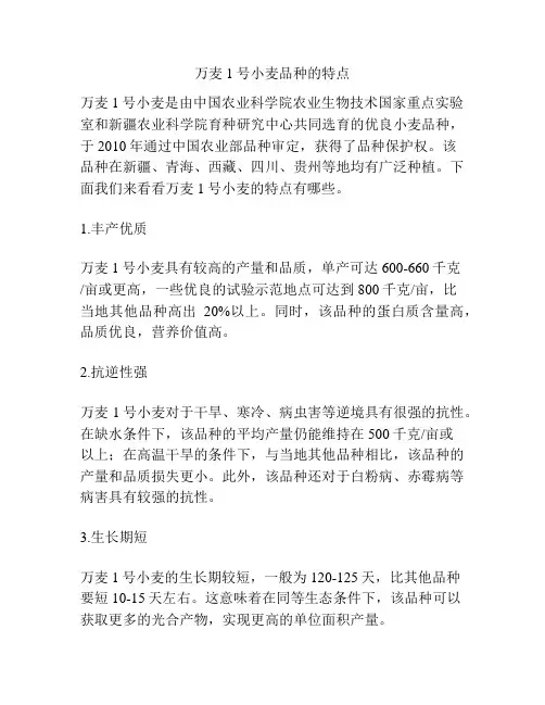 万麦1号小麦品种的特点