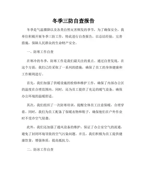 冬季三防自查报告