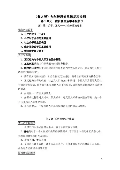 鲁人教九年级政治复习提纲