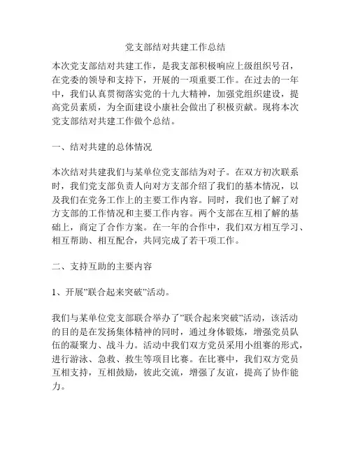党支部结对共建工作总结
