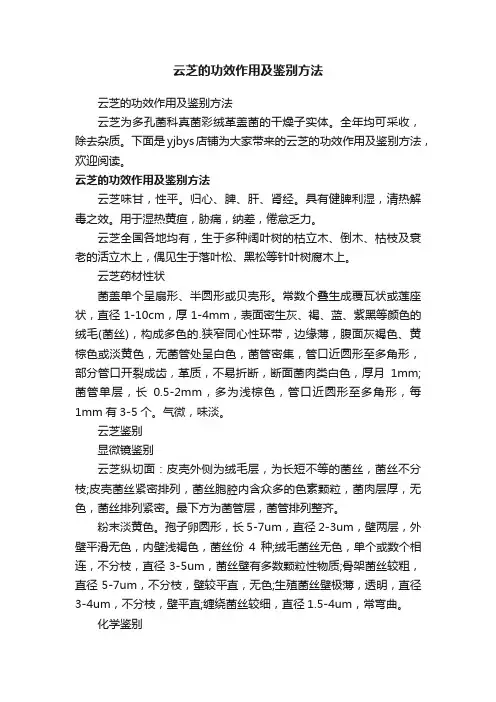 云芝的功效作用及鉴别方法