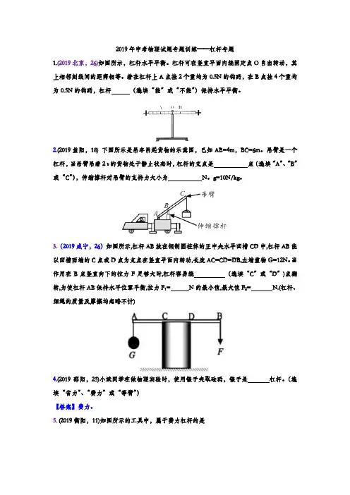 2019年中考物理试题专题训练——杠杆专题(word版含答案)