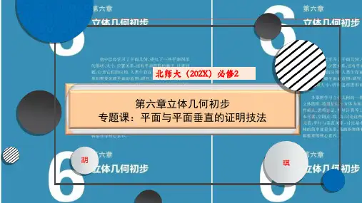 北师大版必修第二册第六章立体几何初步专题课：平面与平面垂直的证明技法课件