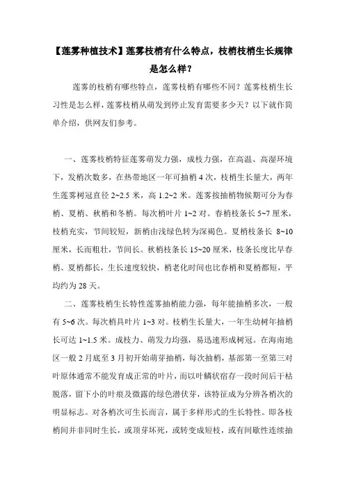 【莲雾种植技术】莲雾枝梢有什么特点,枝梢枝梢生长规律是怎么样？