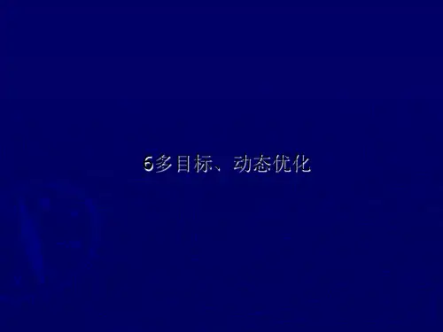 6多目标、动态优化