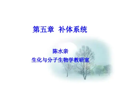 第五章补体系统PPT课件